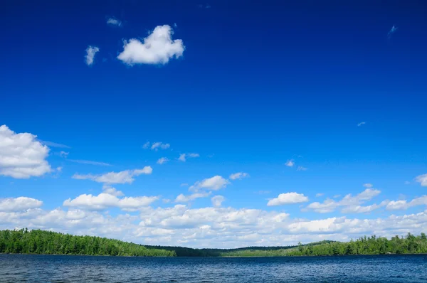 Голубое небо в дикой природе — стоковое фото