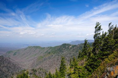 Blue skies on the Appalachian Trail clipart