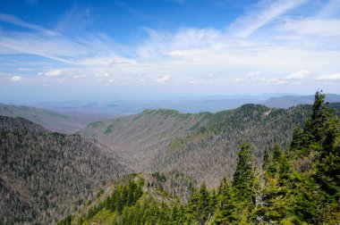 gün appalachian iz işareti kaldırın.