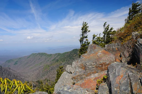 Rotsen en valleien vormen de appalachian trail — Stockfoto