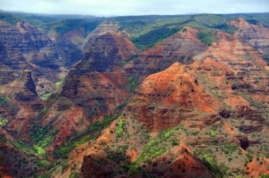 Waimea Canyon in Hawaii clipart