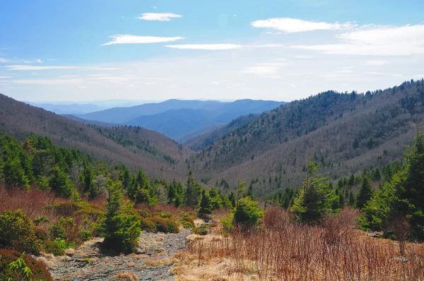 Uitzicht vanaf de appalachian trail — Stockfoto