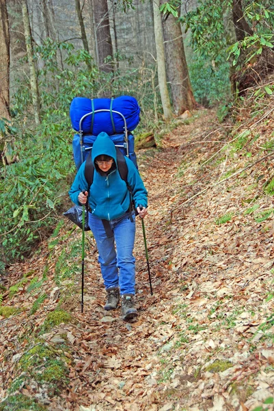Backpacker στην κοιλάδα cataloochee — Φωτογραφία Αρχείου