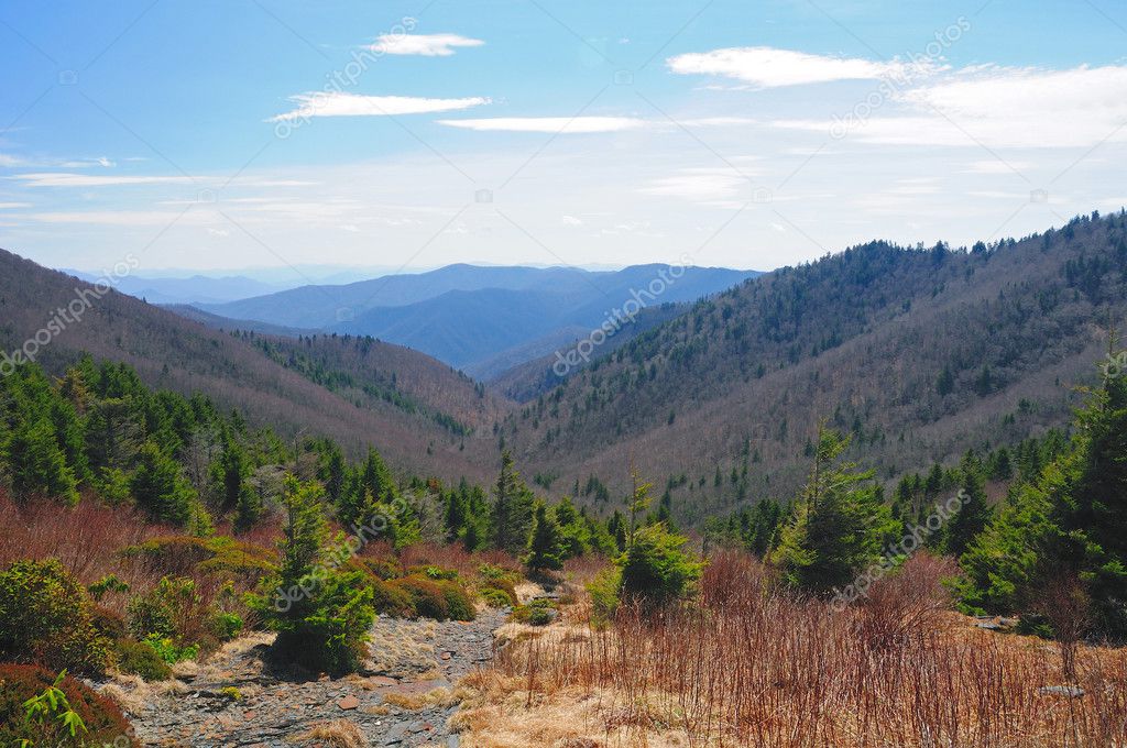 View from the Appalachian Trail