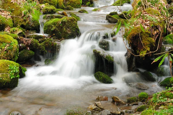 Mountain creek in the early spring — Stock Photo, Image
