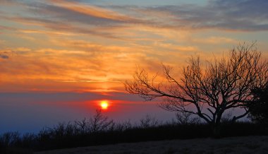 Sunset bulvarında bir dağ sırtı