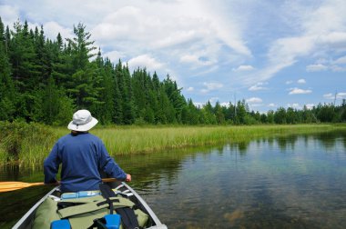 Canoeing in the Quetico clipart