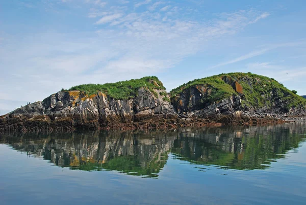 stock image Bird nesting island in Alaska