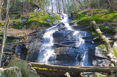 Cascade in the Smokies clipart