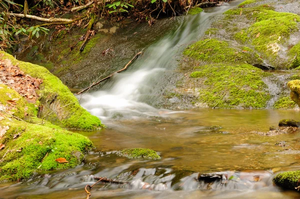 Quiet Stream in the mountains — Stock Photo, Image
