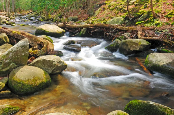 Mountain stream in the spring — Stock Photo, Image