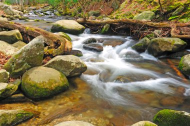 Stream in the wilderness clipart