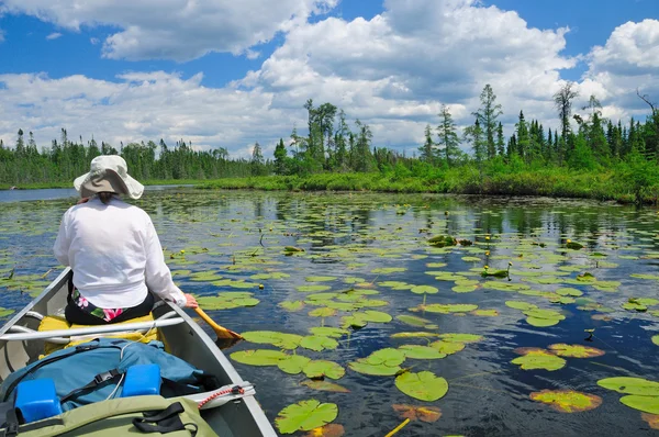 Paddling through the lily pads — Stock Photo, Image