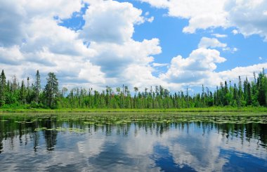 Reflections in the North Woods clipart