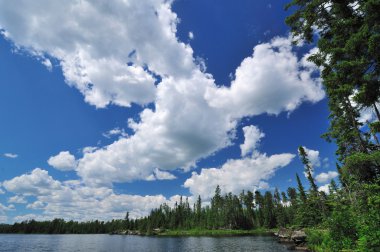 Cumulus Clouds on a Summer Day clipart