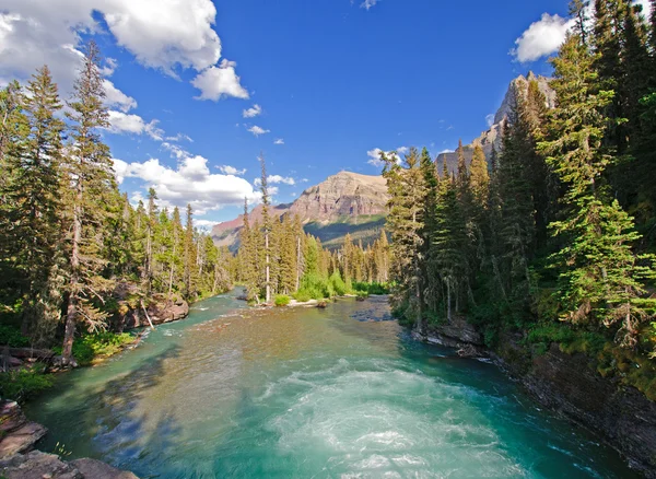 Mountain river in the Wilds — Stock Photo, Image