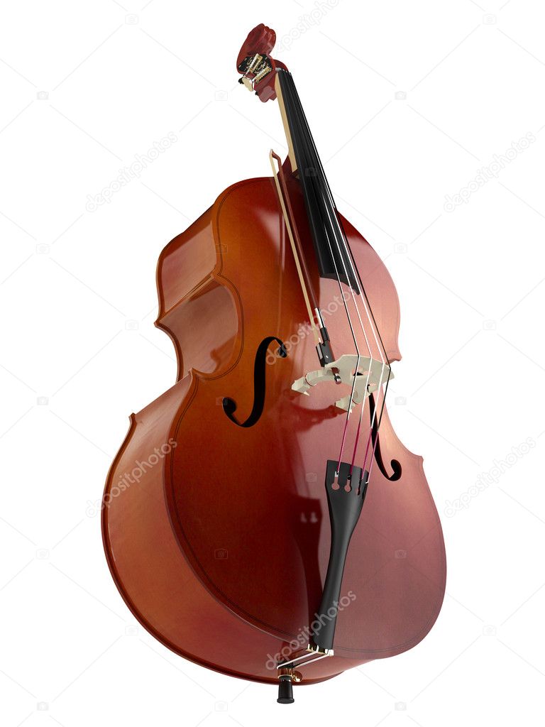 stand up double bass