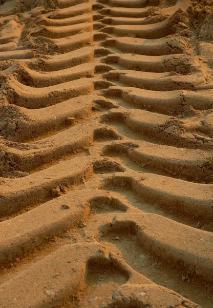 Nyomát a homokban egy buldózer Jogdíjmentes Stock Képek