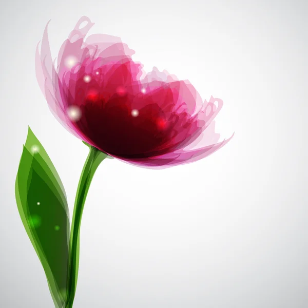 Pivoine rose — Image vectorielle