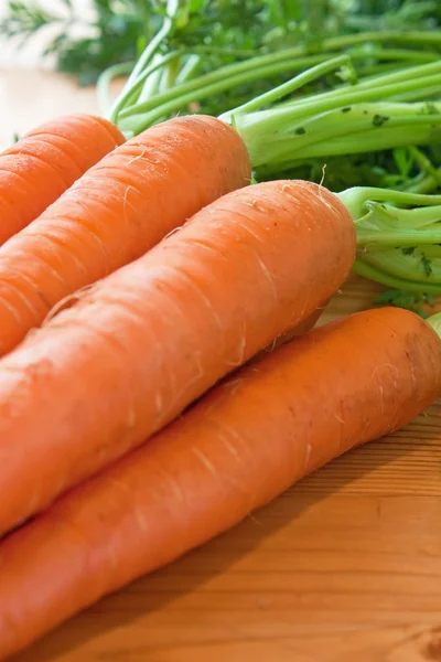 stock image Carrot - close up view