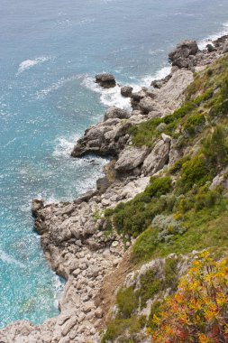 Sahil ve capri Adası