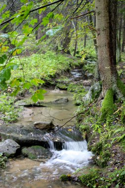 rivier in de herfst