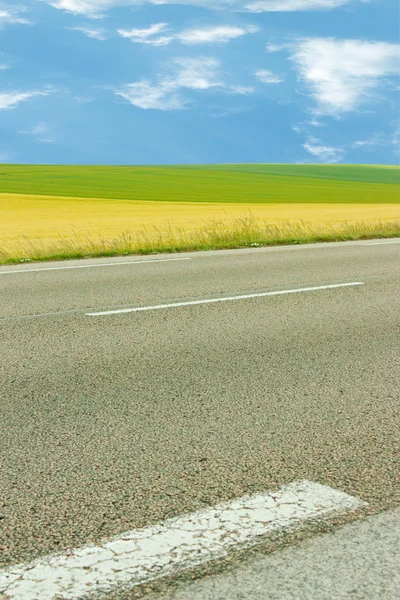 Road and fields — Stock Photo, Image