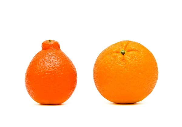 Laranjas maduras e tangerinas close-up sobre fundo branco — Fotografia de Stock