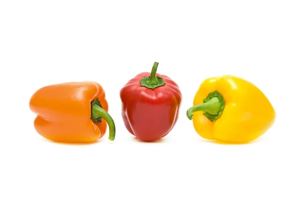 Peperoni bulgari di diversi colori su uno sfondo bianco — Foto Stock