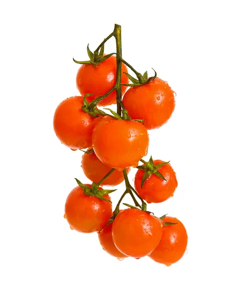 Tomates cereja maduros nas gotas de água. Isolamento . — Fotografia de Stock