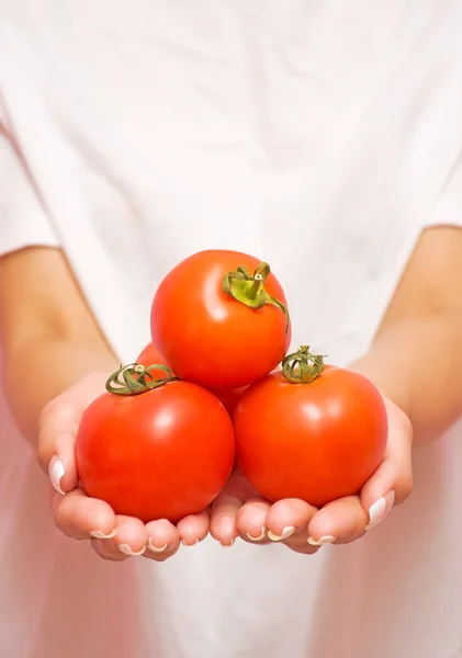 Rijpe tomaten in de handen van een meisje — Stockfoto