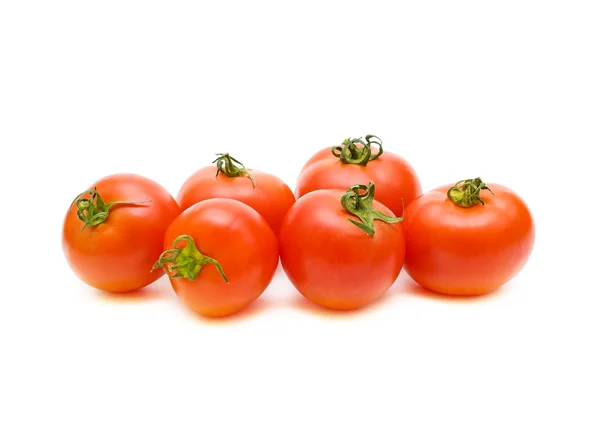 Спелые помидоры на белом фоне — стоковое фото