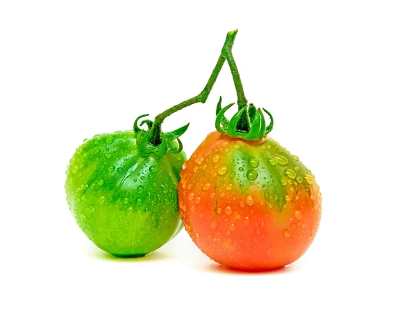 Tomates en las gotas sobre un fondo blanco — Foto de Stock