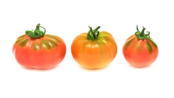 Tři rajčata na bílém pozadí — Stock fotografie