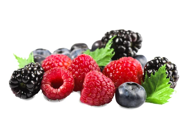 Berries isolated. — Stock Photo, Image