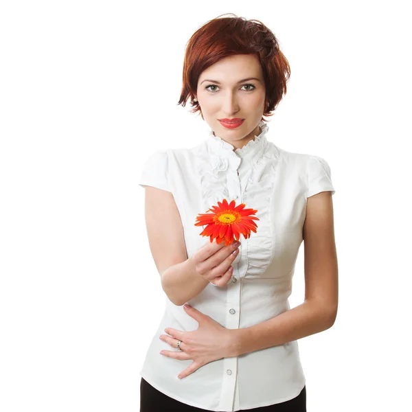 Beautiful woman with flower gerbera in her hands against white b — Stock Photo, Image