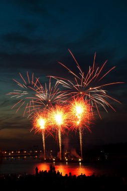 Gece gökyüzünde parlak renkli havai fişekler