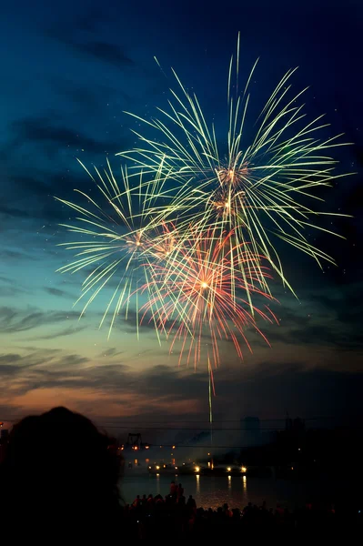 Színes tűzijáték az éjszakai égbolton — Stock Fotó