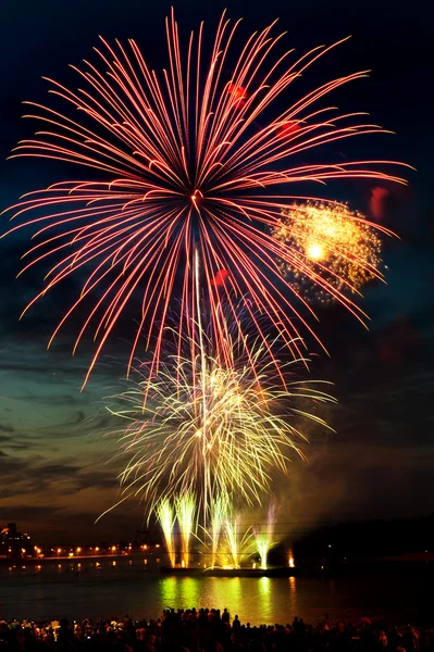 Fogos de artifício coloridos no céu noturno — Fotografia de Stock