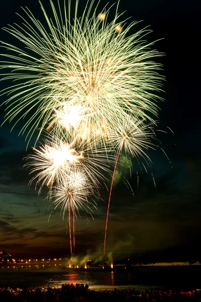 Φωτεινά πολύχρωμα πυροτεχνήματα στο νυχτερινό ουρανό — Φωτογραφία Αρχείου