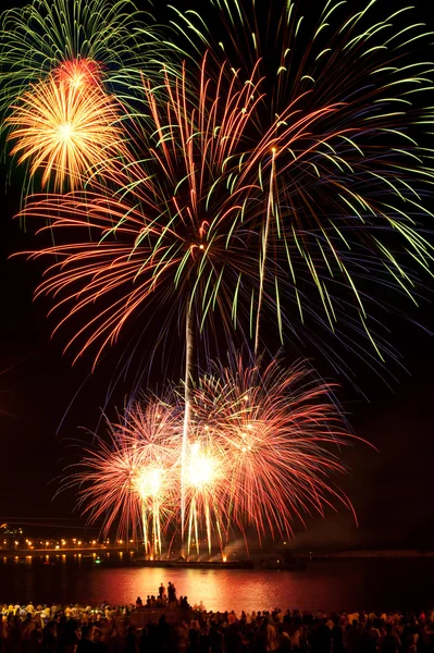 Brightly colorful fireworks in the night sky — Stock Photo, Image