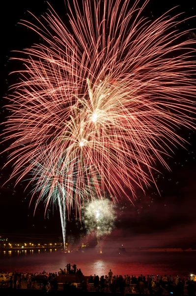 Brightly colorful fireworks in the night sky — Stock Photo, Image