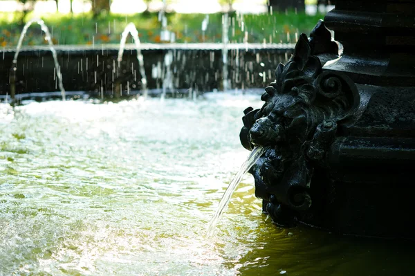 stock image Fountain lion