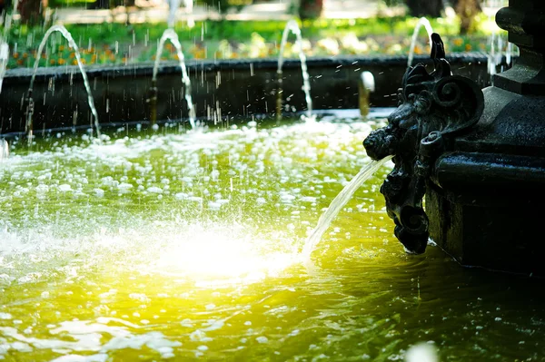 stock image Fountain lion