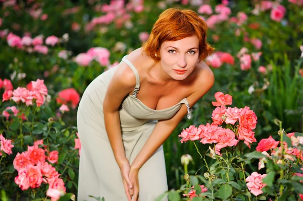 Женщина в саду из роз — стоковое фото