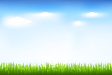 Green Grass And Blue Sky clipart