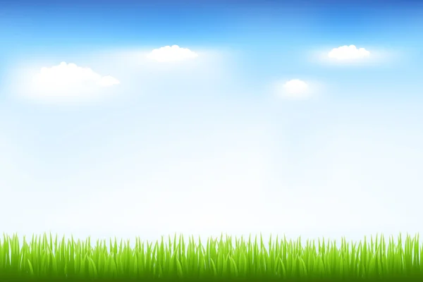 Groen gras en blauwe lucht — Stockvector