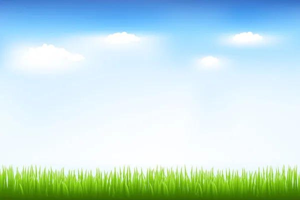 Grönt gräs och blå himmel Royaltyfria Stockvektorer