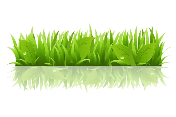 Grass And Leafs — Stock Vector