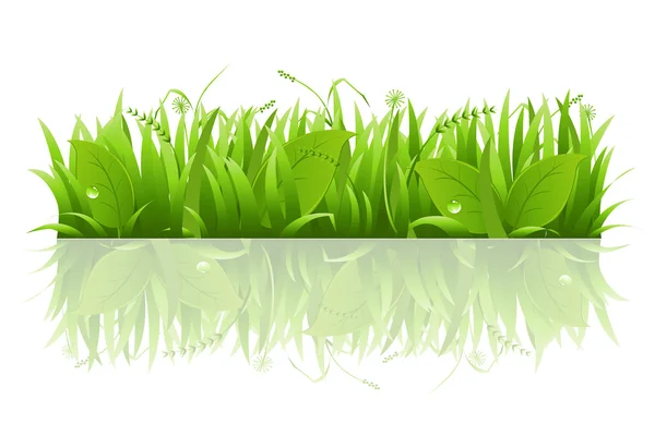 Grass And Leafs — Stock Vector